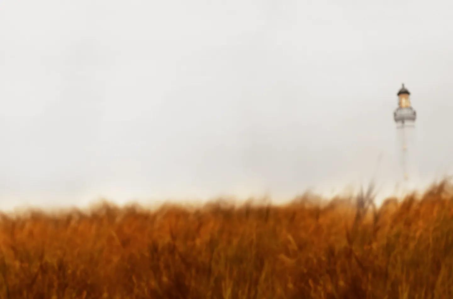Home page hero banner
