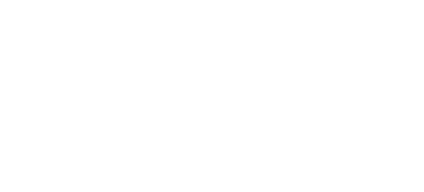 Peregrine Centurion 100 campaign